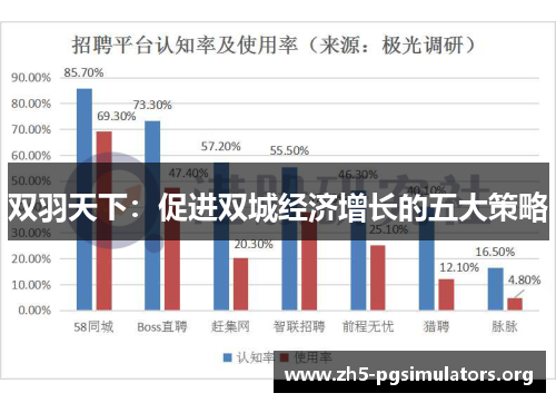 双羽天下：促进双城经济增长的五大策略