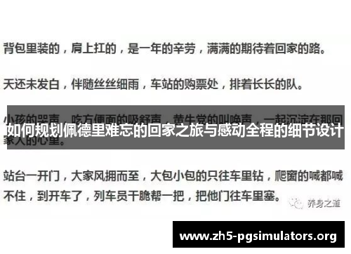 如何规划佩德里难忘的回家之旅与感动全程的细节设计