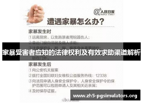 家暴受害者应知的法律权利及有效求助渠道解析