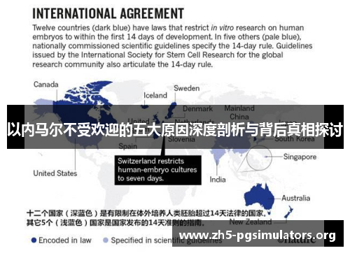 以内马尔不受欢迎的五大原因深度剖析与背后真相探讨