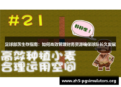 足球部落生存指南:如何高效管理财务资源确保球队长久发展 足球部落生存指南:如何高效管理财务资源确保球队长久发展