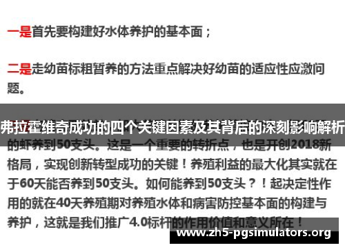弗拉霍维奇成功的四个关键因素及其背后的深刻影响解析